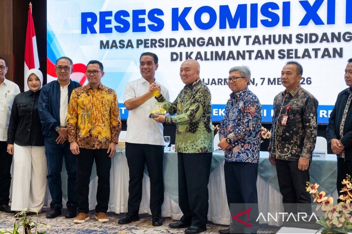 House of Representatives Commission XI urges South Kalimantan to accelerate industrial downstreaming