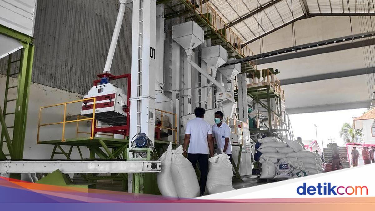 Badung Rice Surplus of 3,000 Tonnes, Chillies and Eggs Still in Deficit