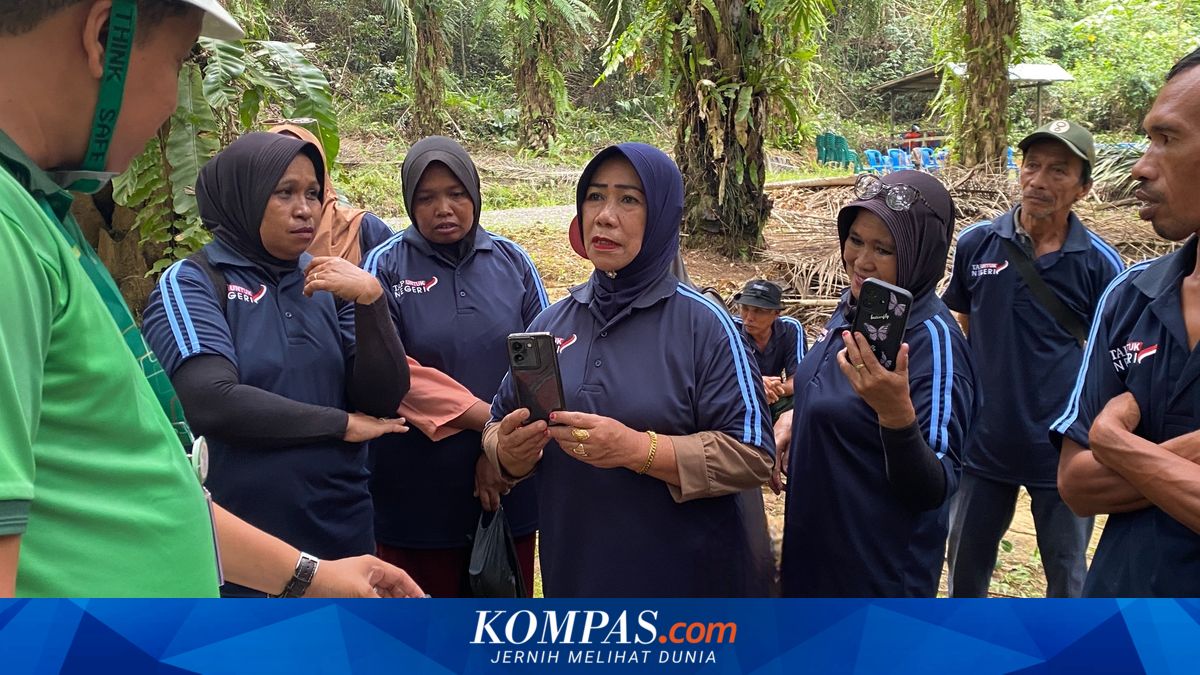 Palm Farmers' Productivity in the Spotlight Amid Push for B50