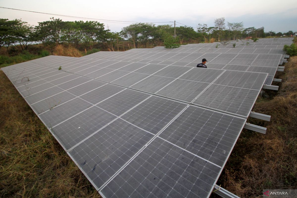 Challenges of Rare Earth Elements Research for Indonesia