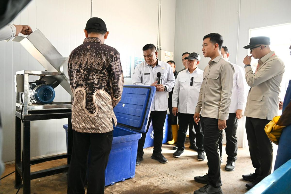 Gibran inspects facilities and readiness of Fishermen's Village in East Lampung