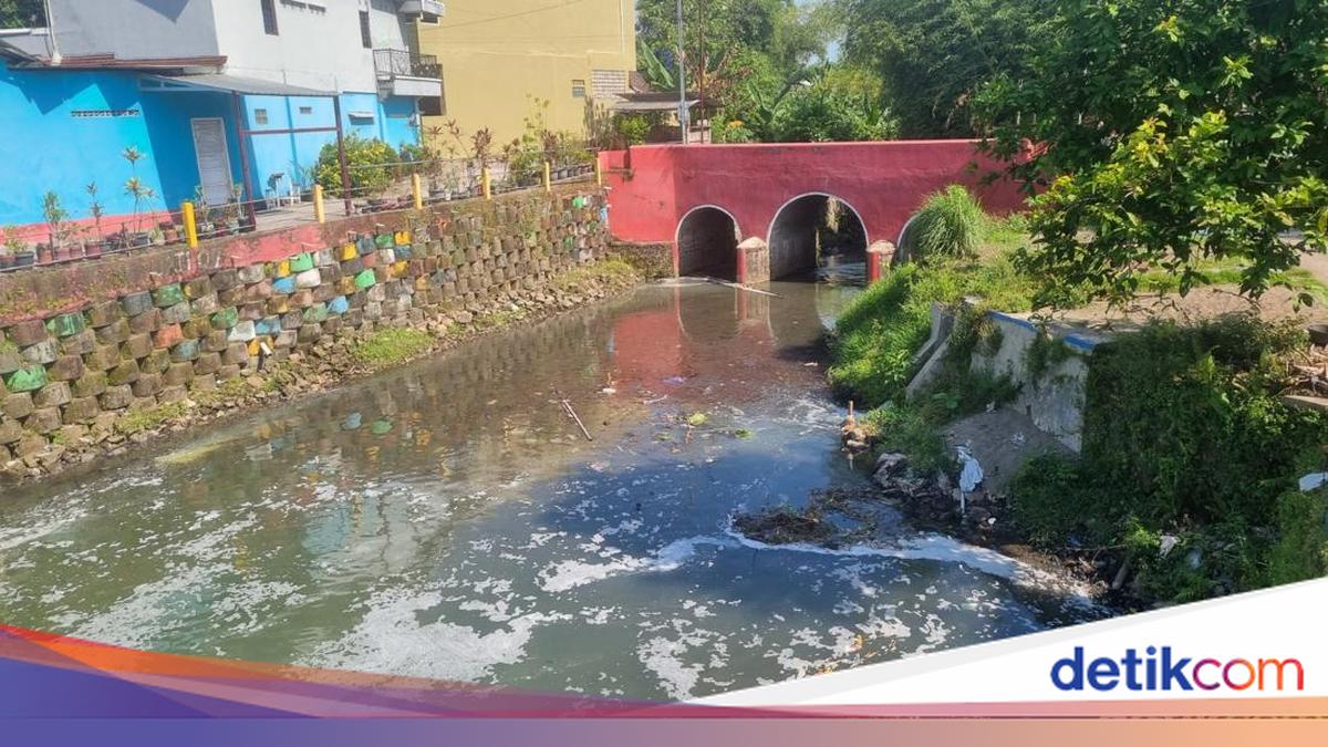 Sungai Belik in Bantul Severely Polluted with Organic Waste, Causing Mass Fish Deaths