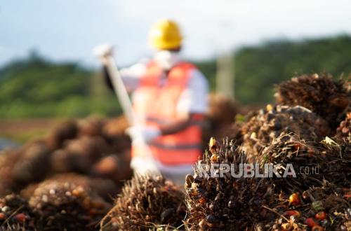 Palma Serasih Records Net Profit of Rp442.8 Billion in 2025