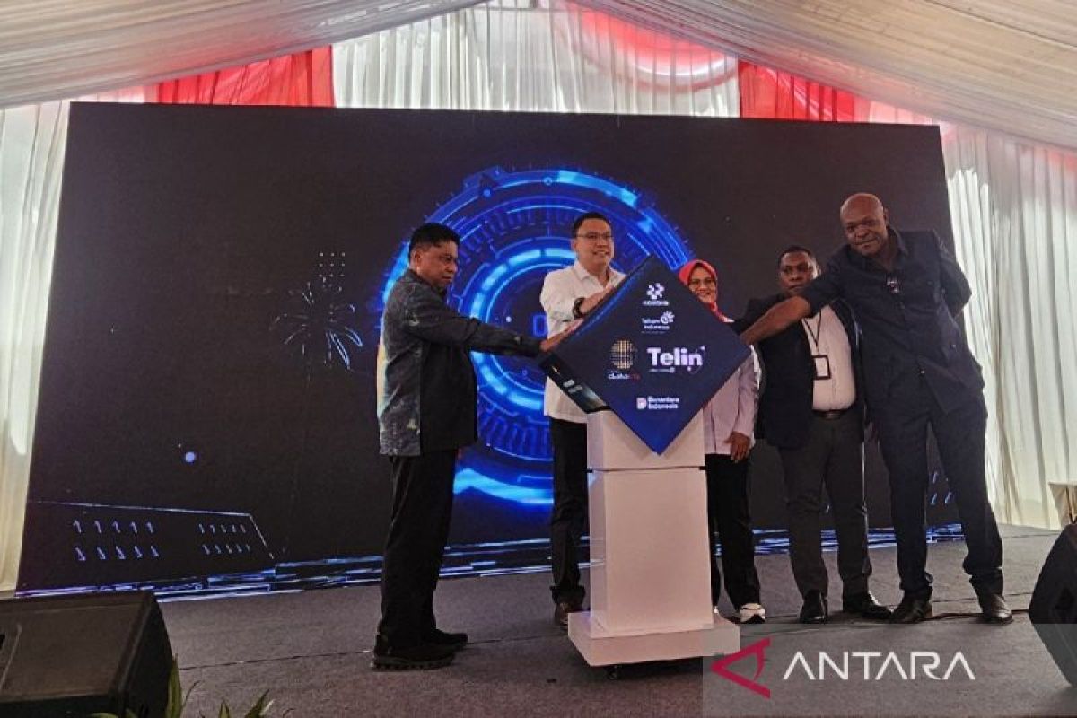 New undersea cable helps Papua transform as digital powerhouse: government