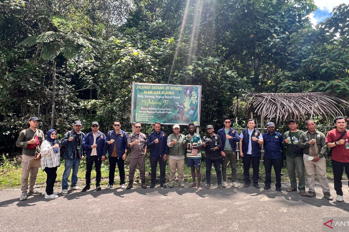 Southwest Papua Regional Police and BKSDA Release 17 Endemic Protected Wild Animals into the Wild