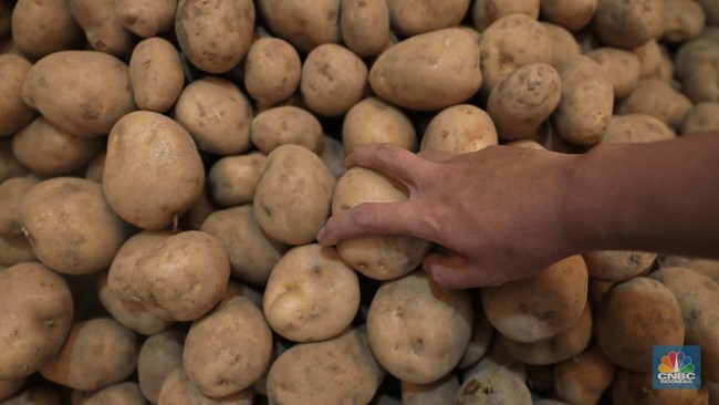 Global Potato Prices Surge, Skyrocketing 700% in One Month!