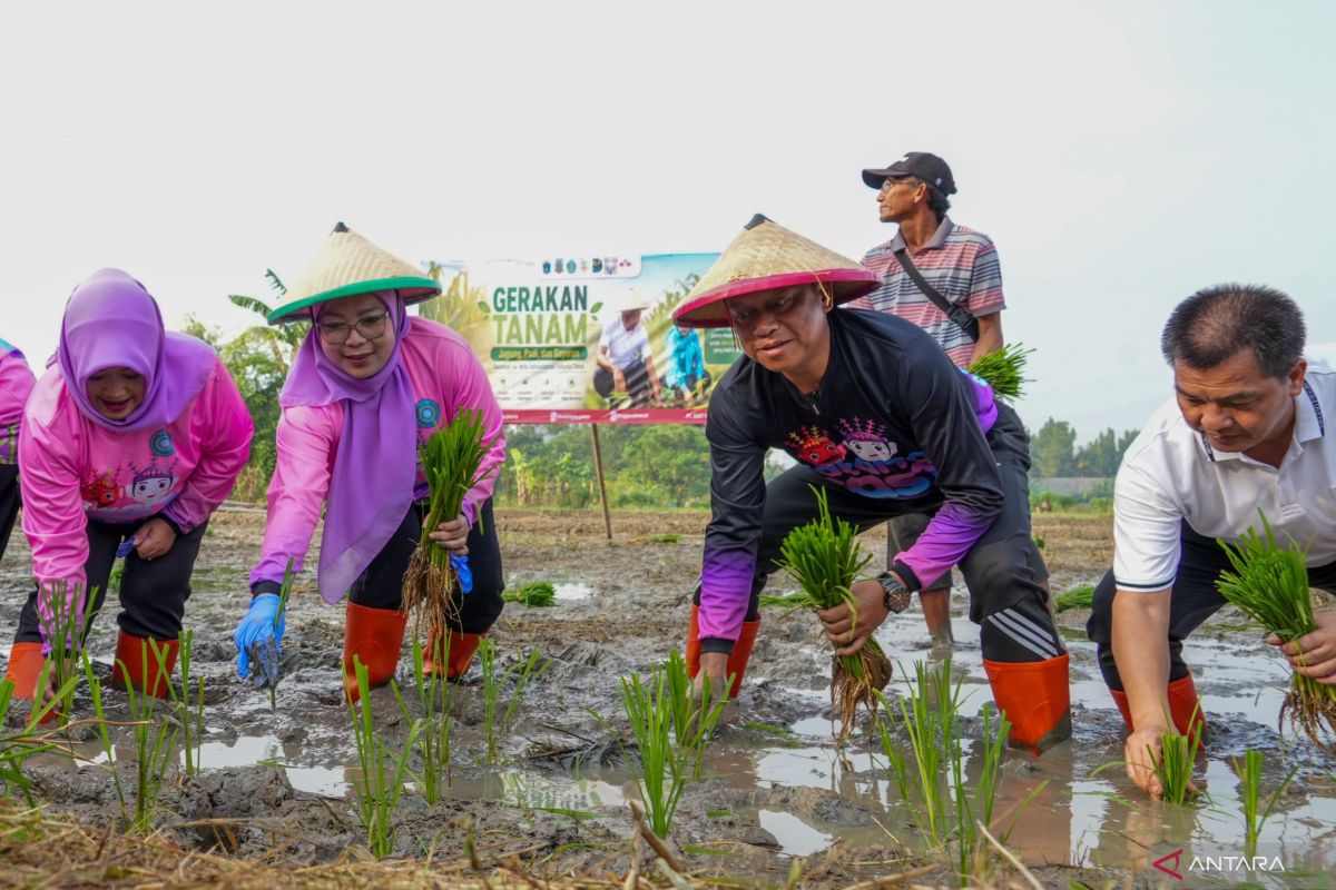 Cakung Becomes the Largest Land Coverage Area for Planting Movement in East Jakarta