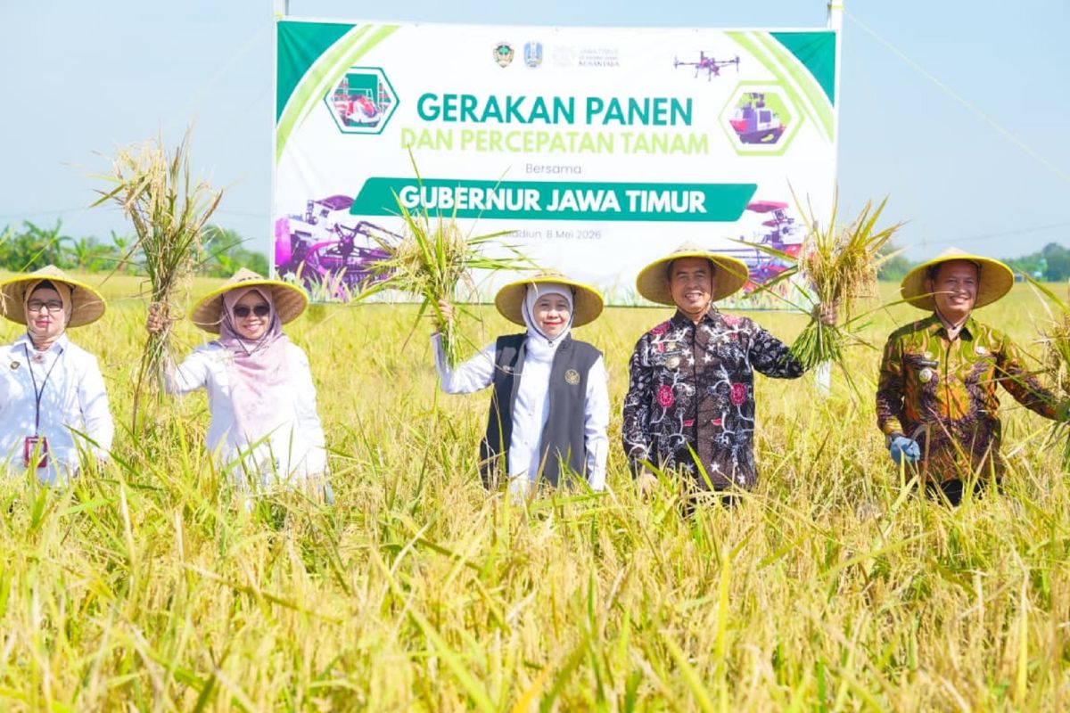 East Java Provincial Government Targets 5% Increase in Rice Production by 2026