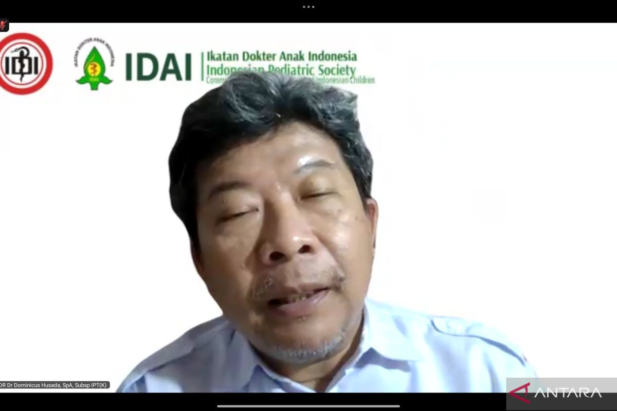 IDAI Recommendations to Prevent Hantavirus Entry into Indonesia