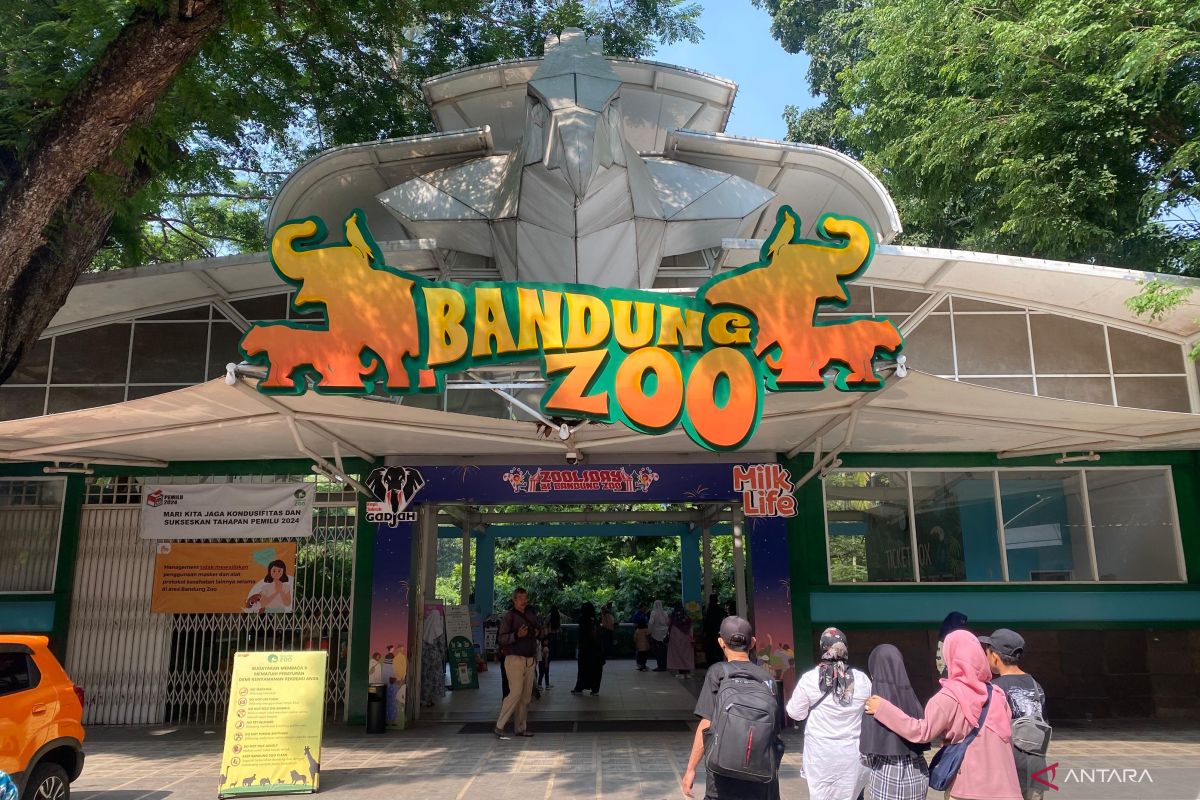 West Java Governor Dedi Mulyadi: Jabar BUMD Ready to Take Over Bandung Zoo Management