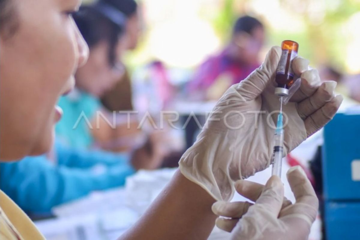 IDAI Considers Measles-Diphtheria Cases More Urgent Than Hantavirus