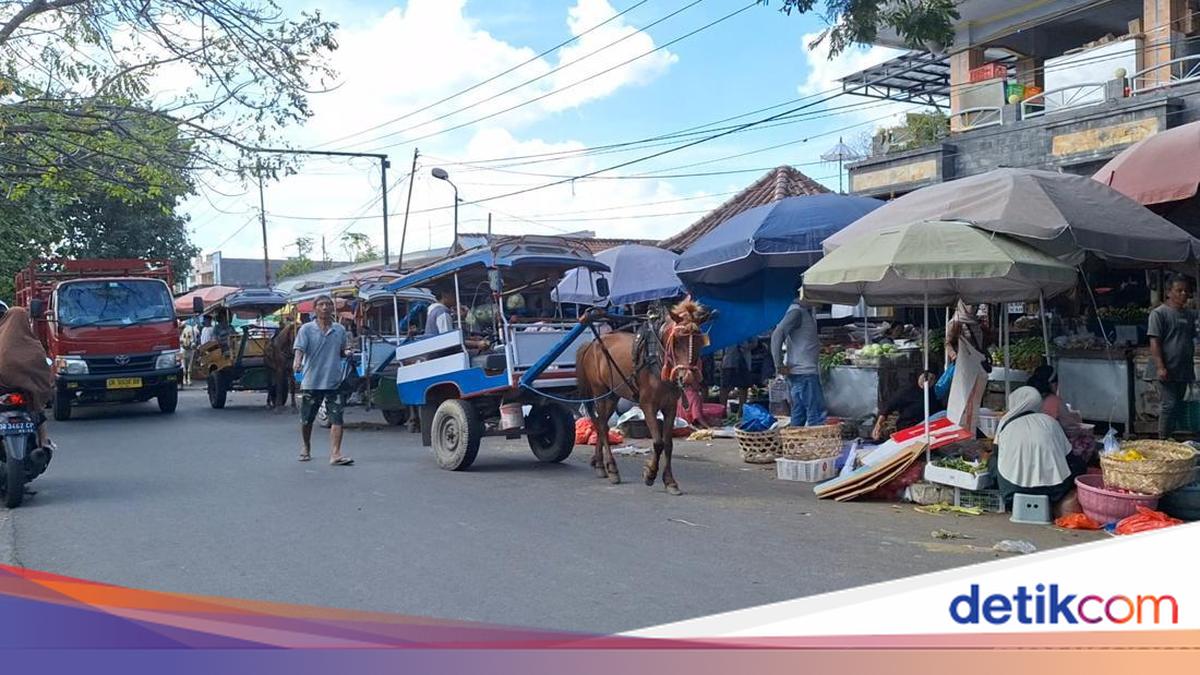 Horse Manure Scattered in Mataram, City Government Prepares Bags with Rp 30 Million Budget