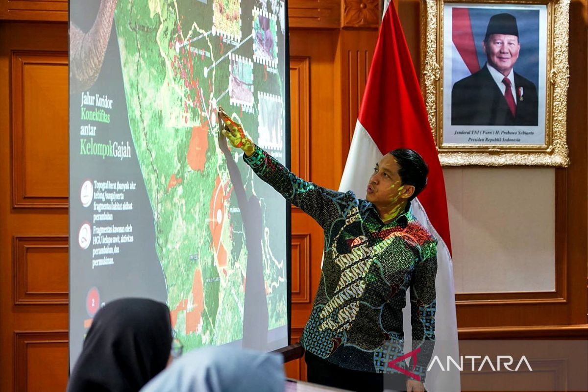 Forestry Minister: Government focuses on protecting and restoring elephant pockets' ecosystems