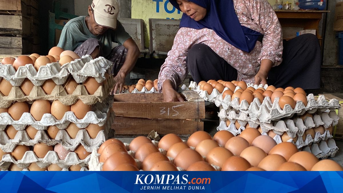 Egg Prices Plummet in Magetan, BGN: SPPG to Optimise Egg Menus