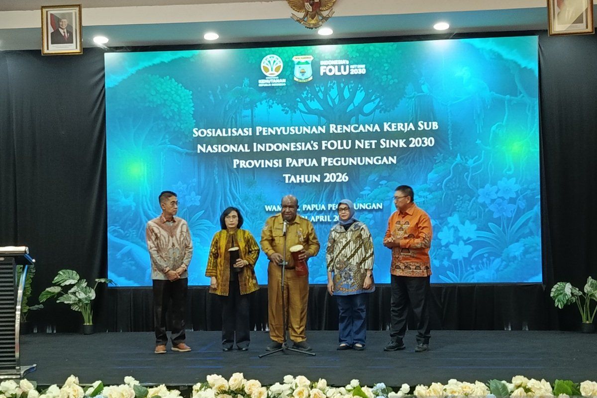 Papua Mountains Forests as Earth's Ecosystem Buffer