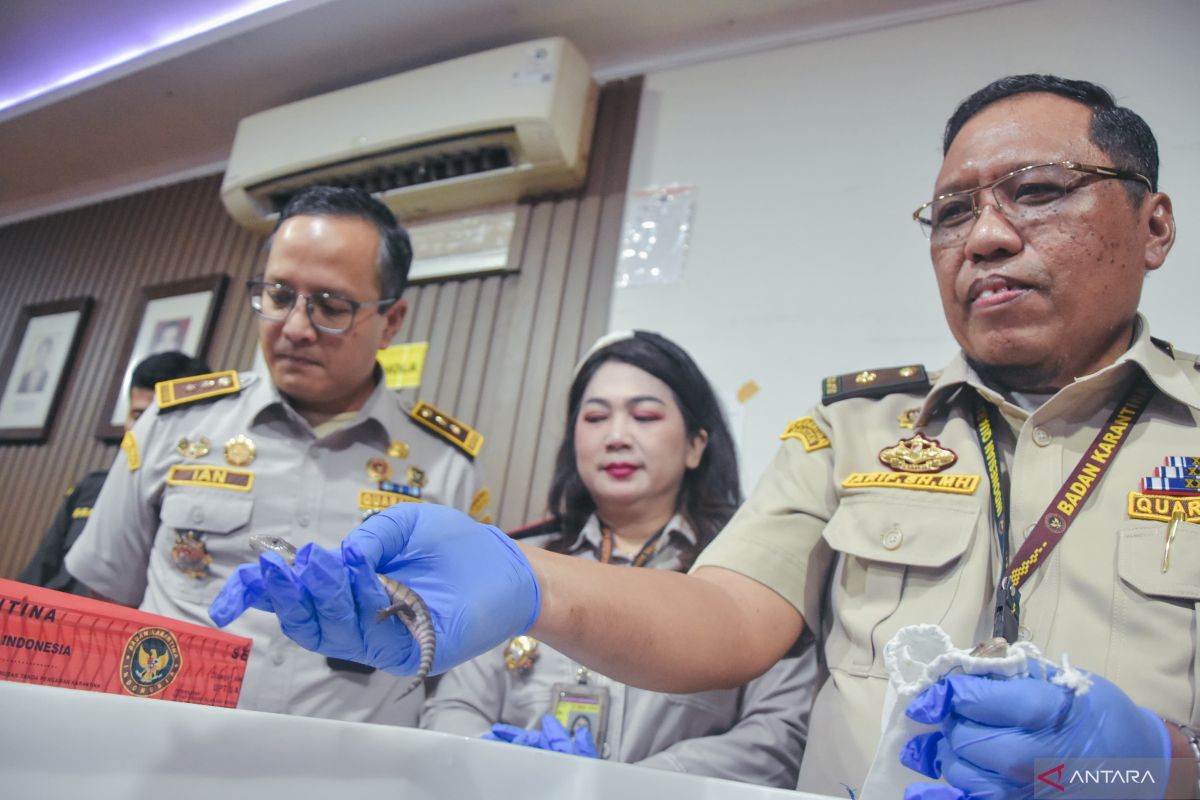 Quarantine Agency Thwarts Smuggling of 10 Animals from Thailand