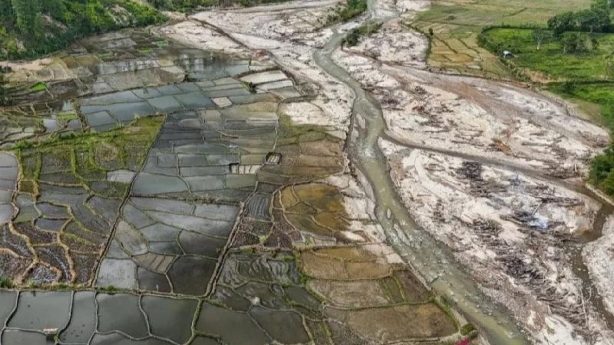 Thousands of Hectares of Flood-Affected Rice Fields Begin Replanting