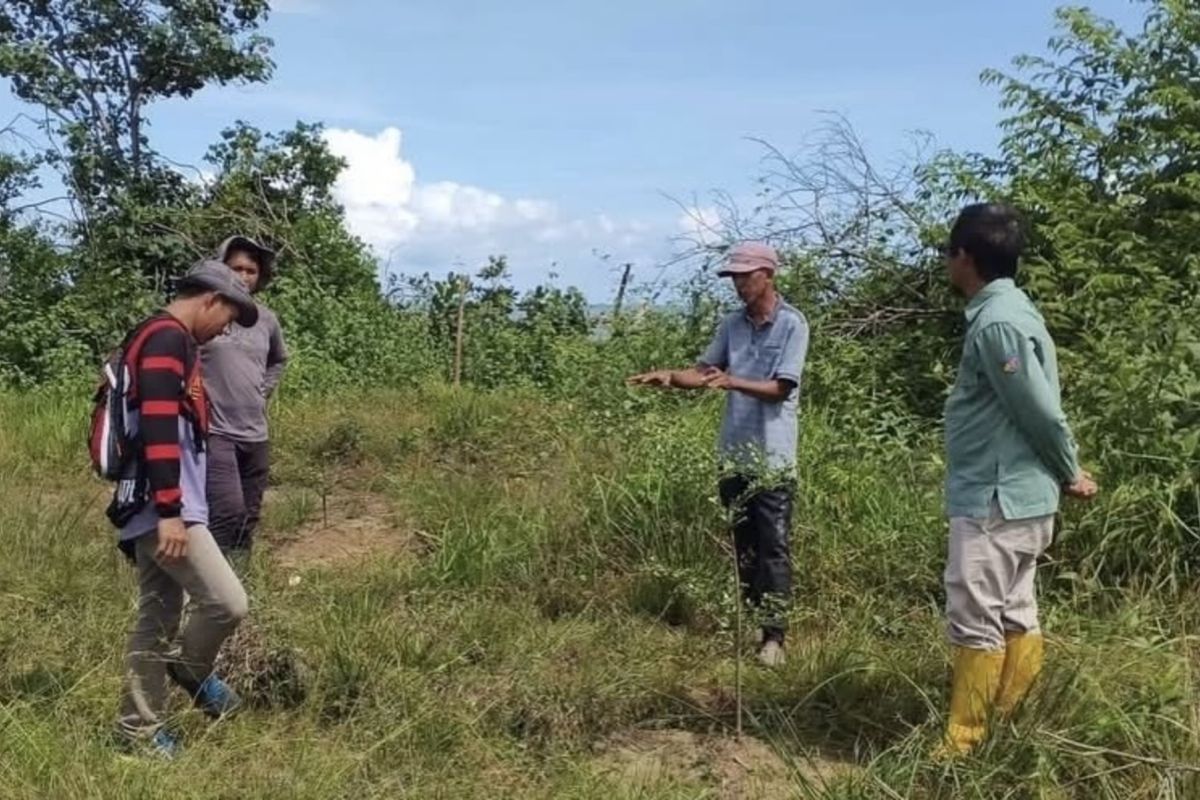 South Kalimantan completes planting of 148.5 ha for Norway's FOLU Net Sink in two forest farmer groups