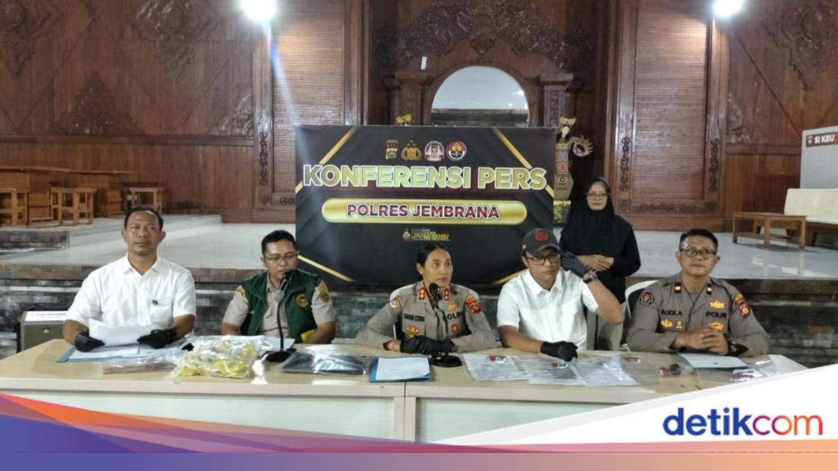 Police Uncover Fake Cattle Document Syndicate in Gilimanuk, Two Suspects Arrested
