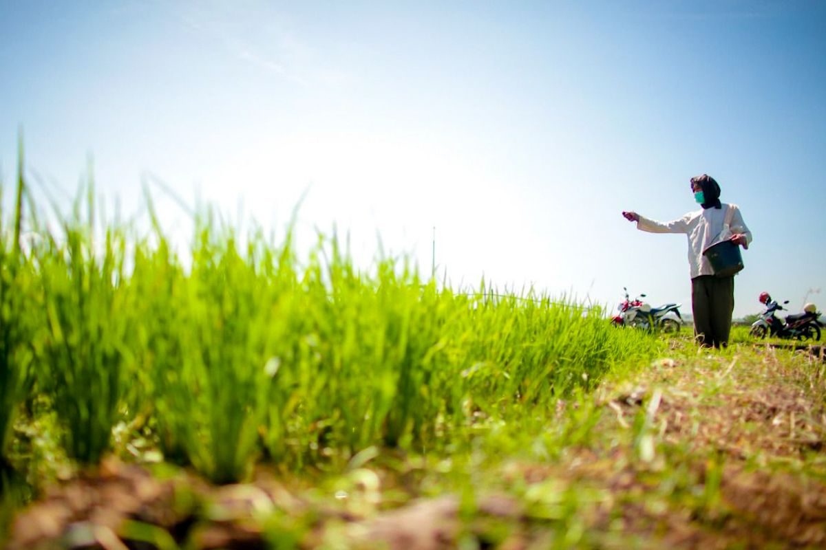 Economist: Consistency in Food Production Key to Controlling Inflation in 2026