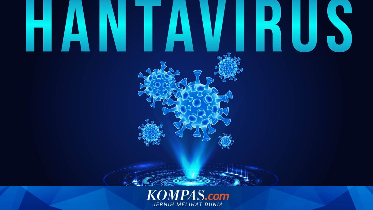 Legislator Urges Indonesia to Be Wary of Hantavirus: Do Not Consider It a Distant Threat or Rare Disease