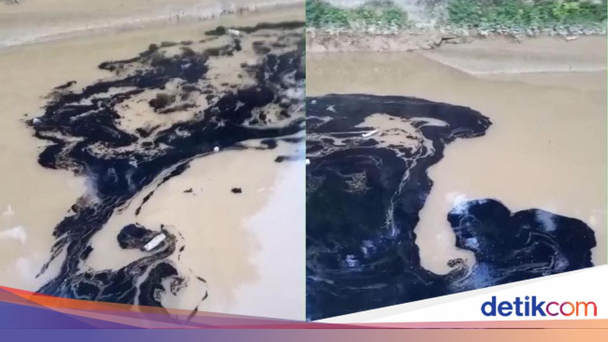 Police Examine Suspect in Used Oil Waste Dumping Polluting Tarakan River
