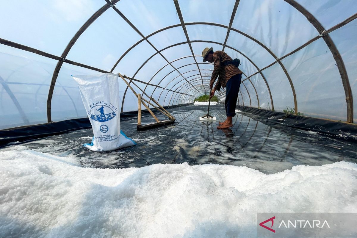Harvesting Crystals on the Indramayu Coast