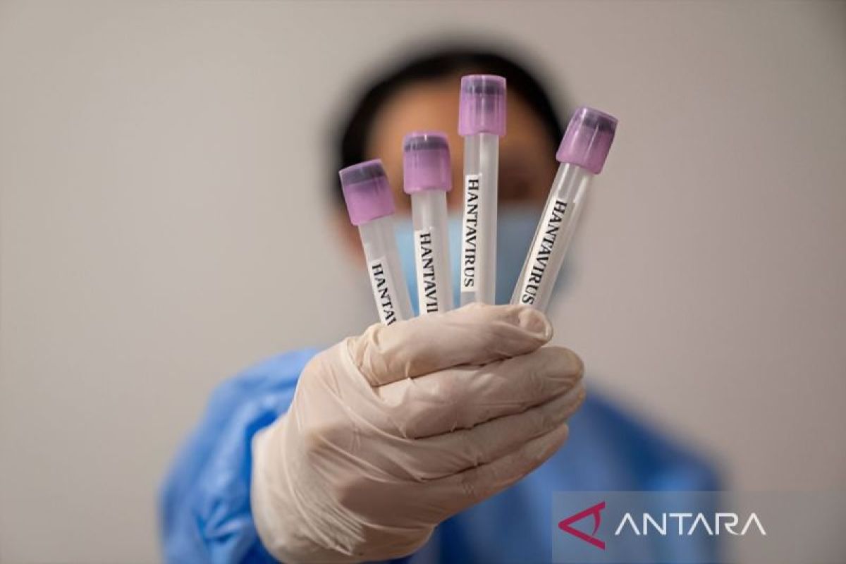 Yogyakarta Health Department Continues to Heighten Vigilance to Prevent Hantavirus Transmission