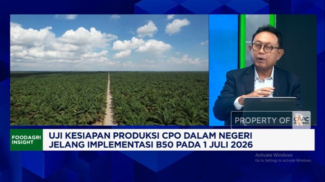 Video: Business Owners Urge Government to Simplify People's Palm Replanting Programme