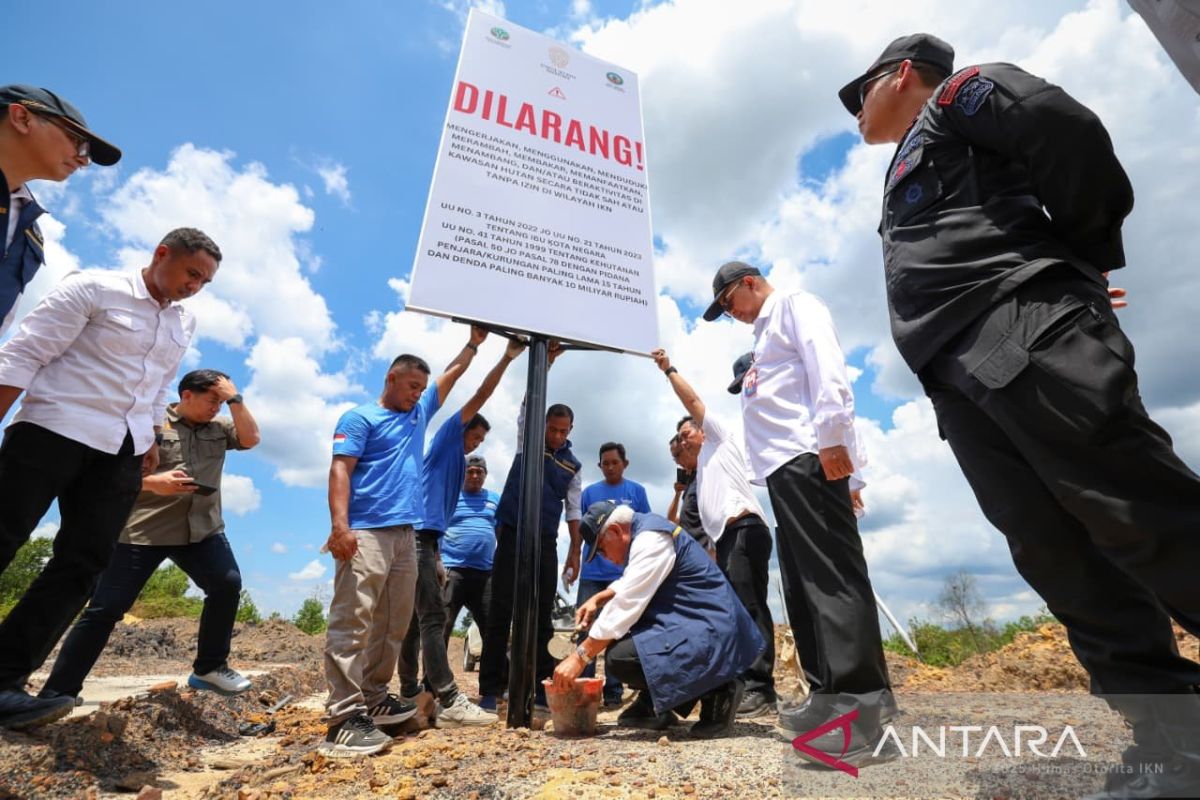 Indonesia’s new capital cracks down on illegal forest activities
