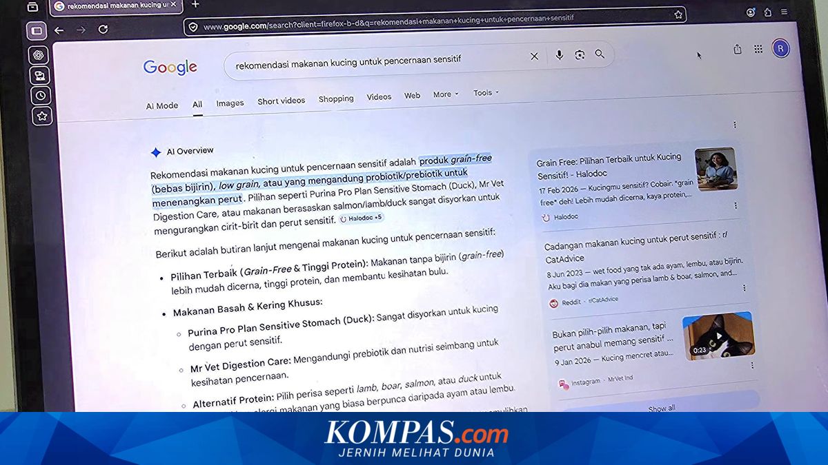 Google AI Overview Now Displays Real Human Opinions and Reviews