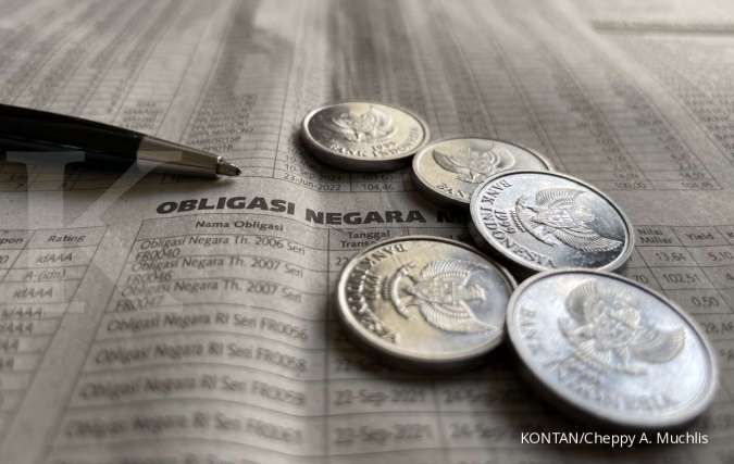 Rise in SRBI Yields Becomes New Magnet for Insurance Investments - Finance