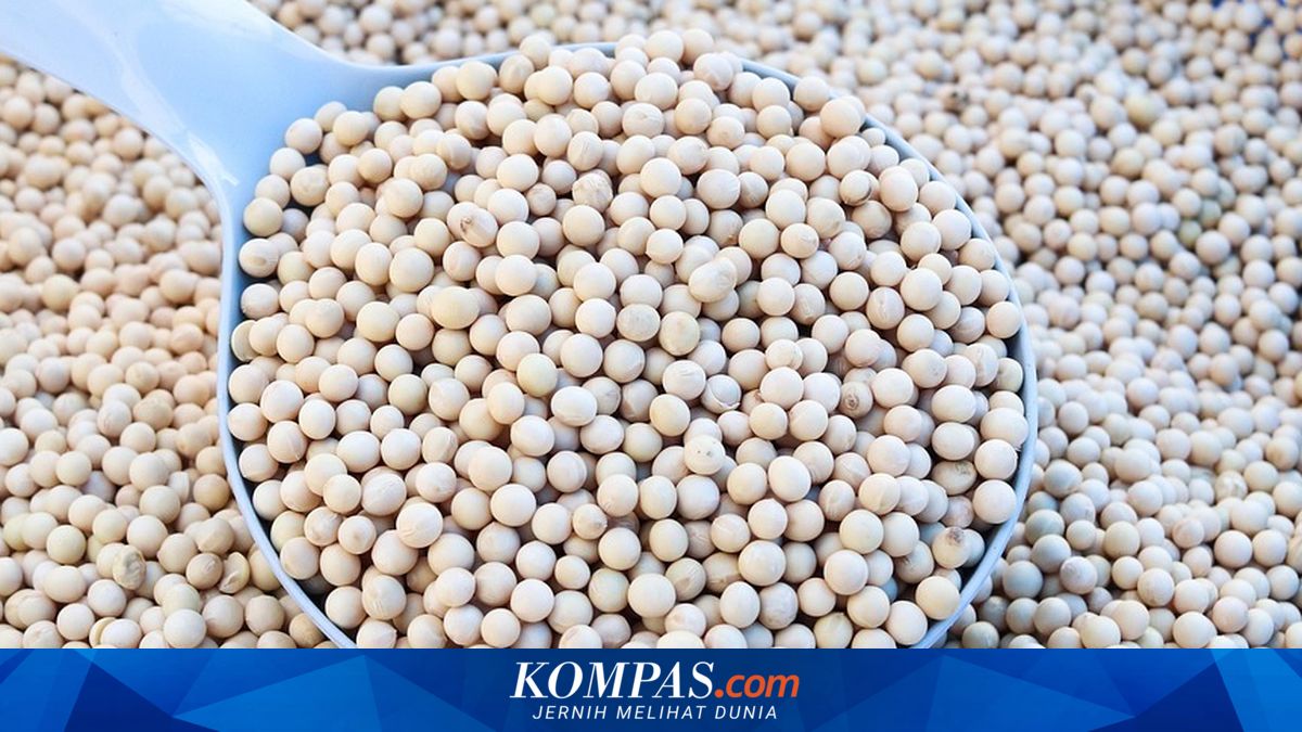 Soybean Prices Low but Tofu and Tempeh Remain Expensive, Research Highlights Importers' Margins