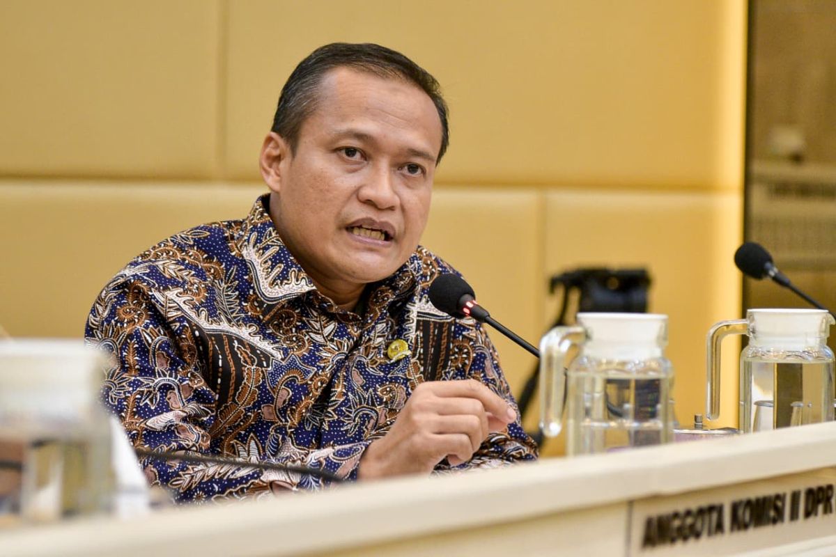 MP: Rice Stock Security Must Lead to Price Stability