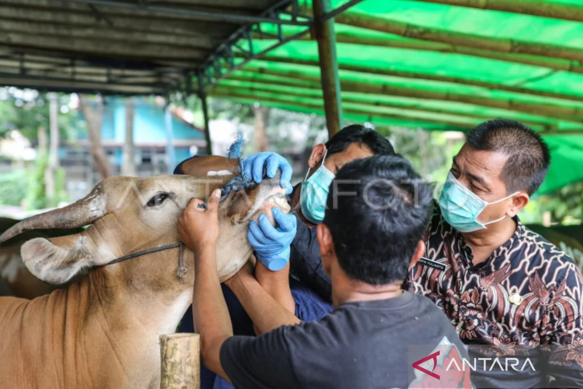 Jakarta East City Government Highlights Importance of Sacrifice Management Training