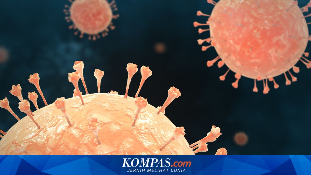 WHO States It Is Not a New Pandemic, Government Urged to Educate Public on Hantavirus