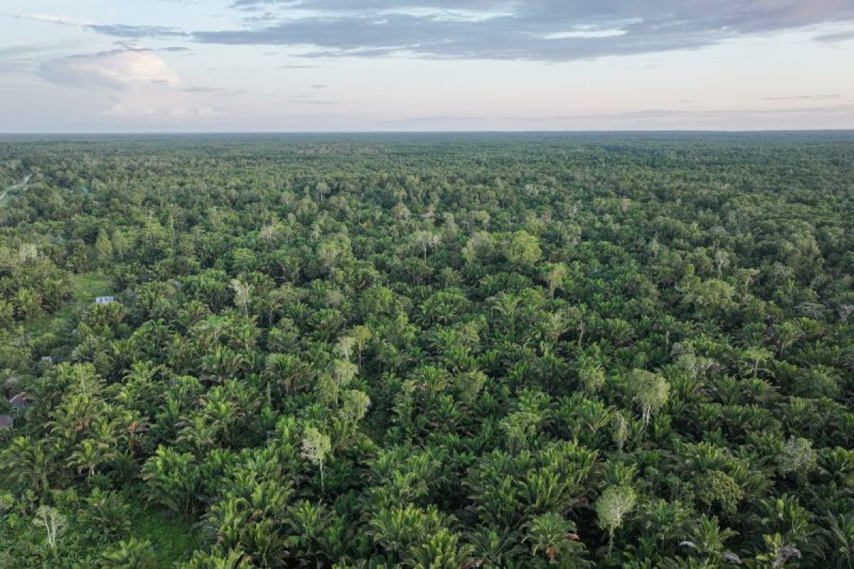 Ethnoscience and the Future of Development in Papua