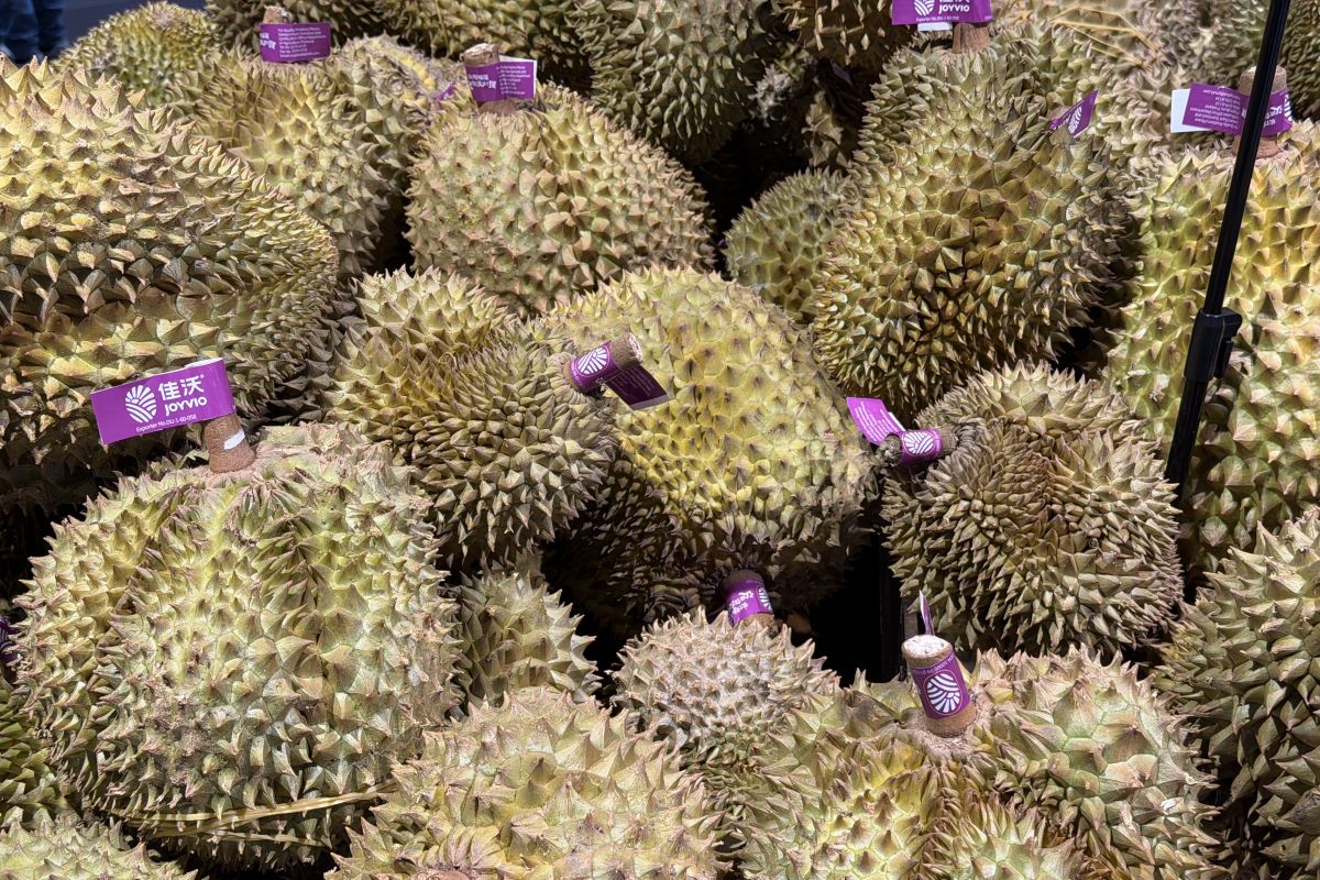 Chinese Consumer Preferences Reshape Durian Plantation Landscape in Southeast Asia