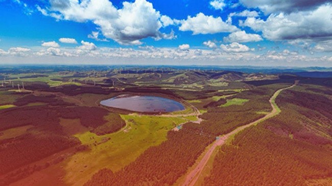 China Plants So Many Trees That One Country Is Completely Transformed