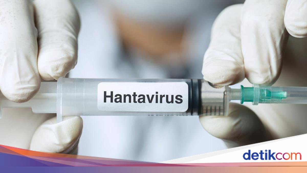 DKI Health Office Identifies 4 Hantavirus Cases in Jakarta: 3 Recovered, 1 Still Suspected