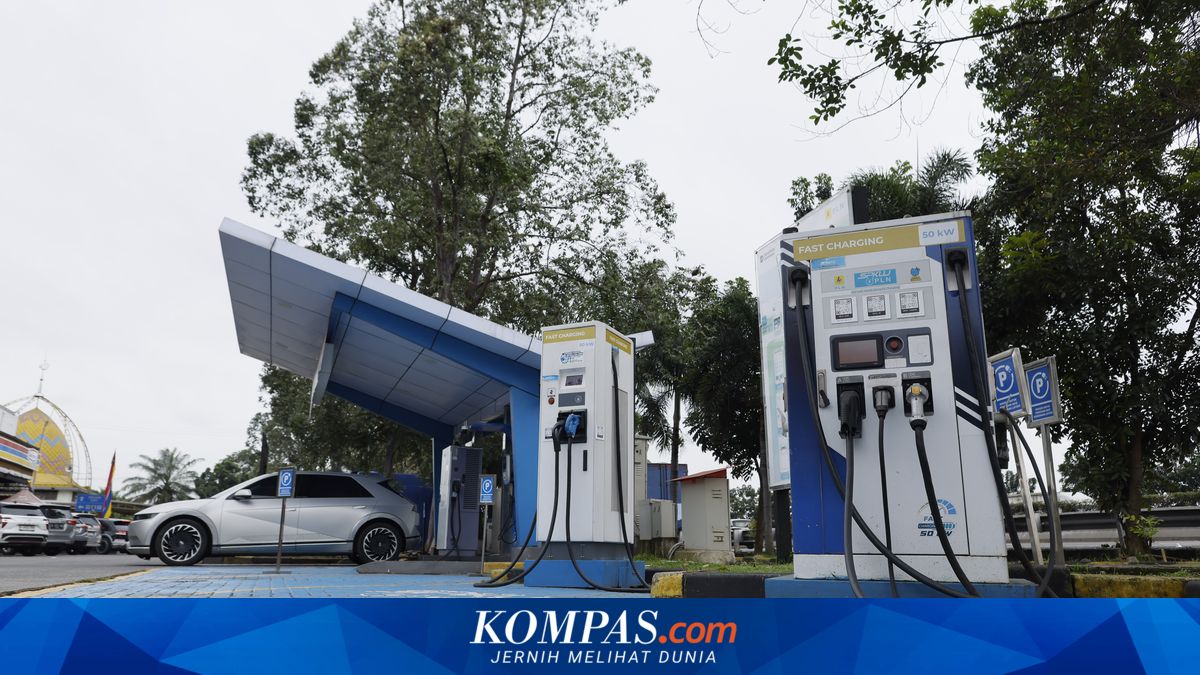 Electric Vehicle Battery Performance Degradation Cannot Be Avoided