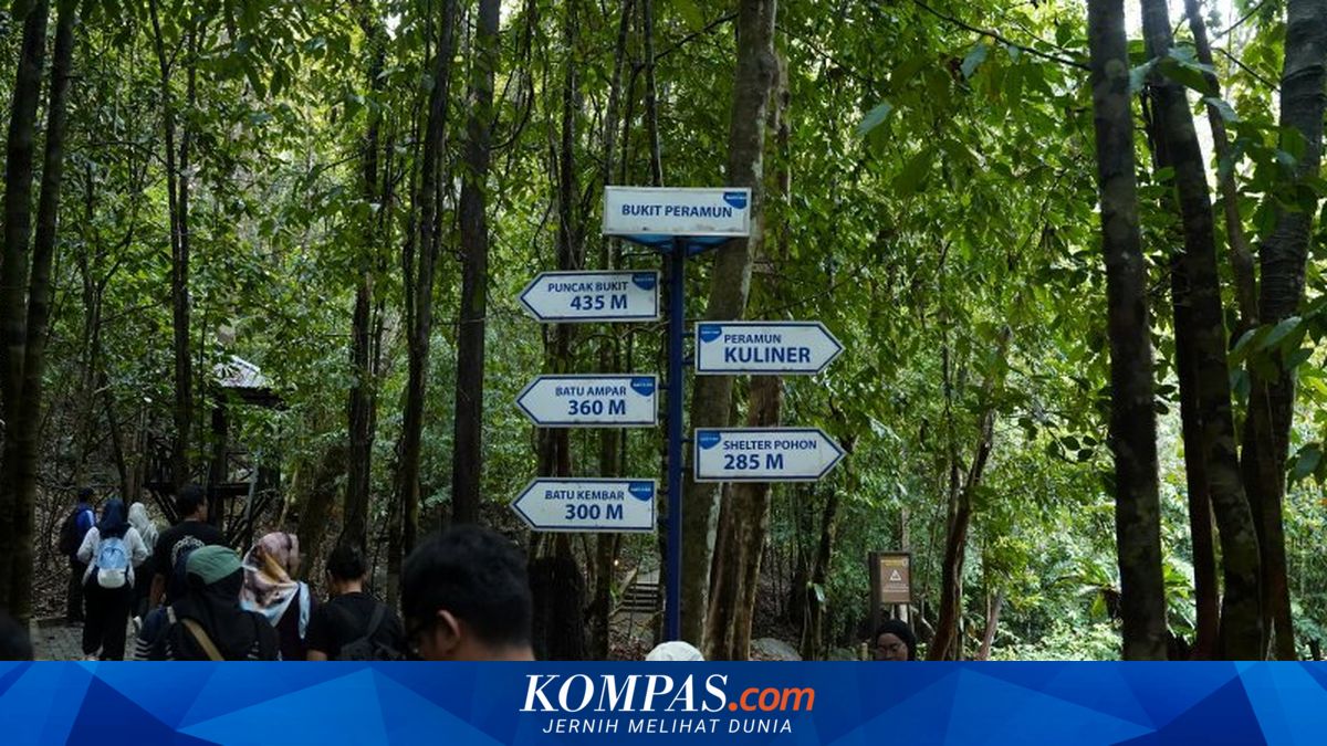 Digital Forest in Belitung Attracts Tourists, Boosting Local SMEs