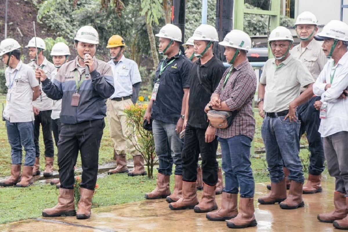 Bungaran Saragih: Indonesia must maximise palm oil productivity
