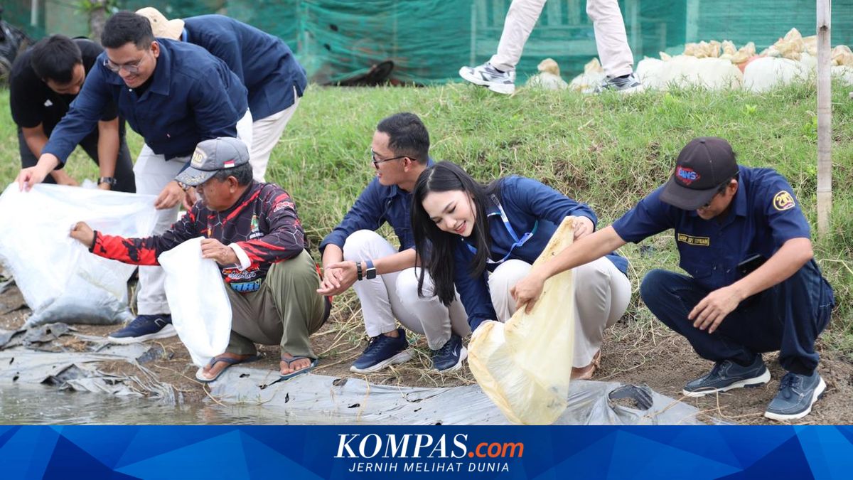 Agrinas Jaladri Distributes 19,500 Free Saltwater Tilapia Seedlings in Subang