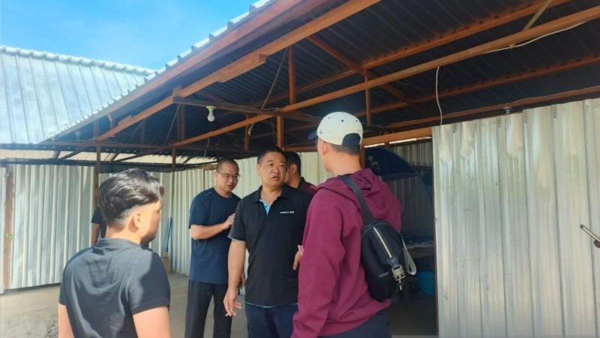 15 Chinese Nationals Mining Gold in Mount Botak, Buru Island, Without Work Permits