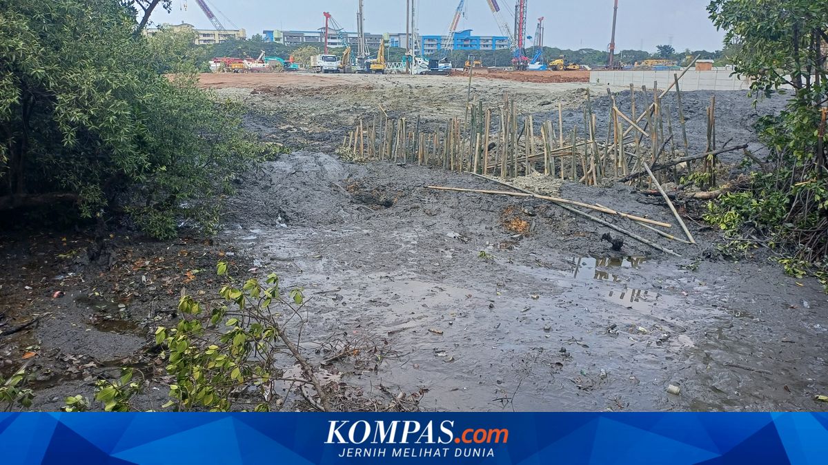 Disruption of River Flow in Marunda Due to Mud from Rusunawa Project