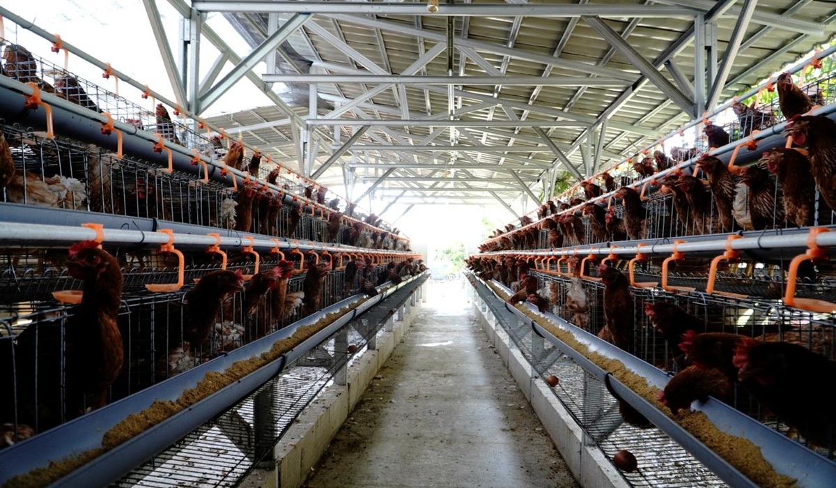 Ministry of Agriculture: People's Farmers Remain Priority in National Industry Development