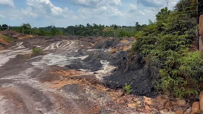 Illegal Mining in IKN Area Uncovered, IKN Authority Speaks Out