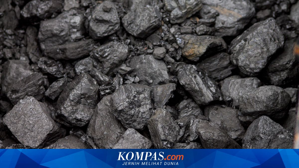 PELNI Inaugurates Shipment of 55,000 Tonnes of Coal