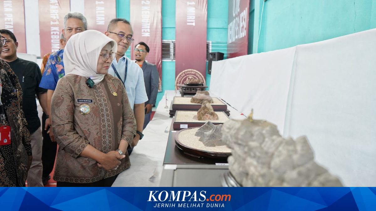 When "Ancient Stones" Are Exhibited in Kebumen, Preserving Traces of the Earth Millions of Years Old